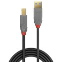 Lindy 36743 USB kabelis USB 3.2 Gen 1 (3.1 Gen 1) 3 m USB A USB B Melns, Pelēks Lindy 36743 USB kabelis USB 3.2 Gen 1 (3.1 Gen 1) 3 m USB A USB B Melns, Pelēks