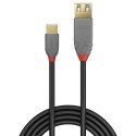 Lindy 0.15m USB 3.2 Type C to A Adapter Cable, 10Gbps, Anthra Line Lindy 0.15m USB 3.2 Type C to A Adapter Cable, 10Gbps, Anthra Line