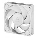 ARCTIC Freezer P12 Pro PST (White) Kompiuterio korpusui Ventiliatorius 12 cm Balta 1 vnt ARCTIC Freezer P12 Pro PST (White) Kompiuterio korpusui Ventiliatorius 12 cm Balta 1 vnt