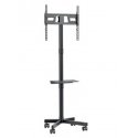 Montis Mobilny uchwyt do TV - MT191 ATLAS 152,4 cm (60") Montis Mobilny uchwyt do TV - MT191 ATLAS 152,4 cm (60")
