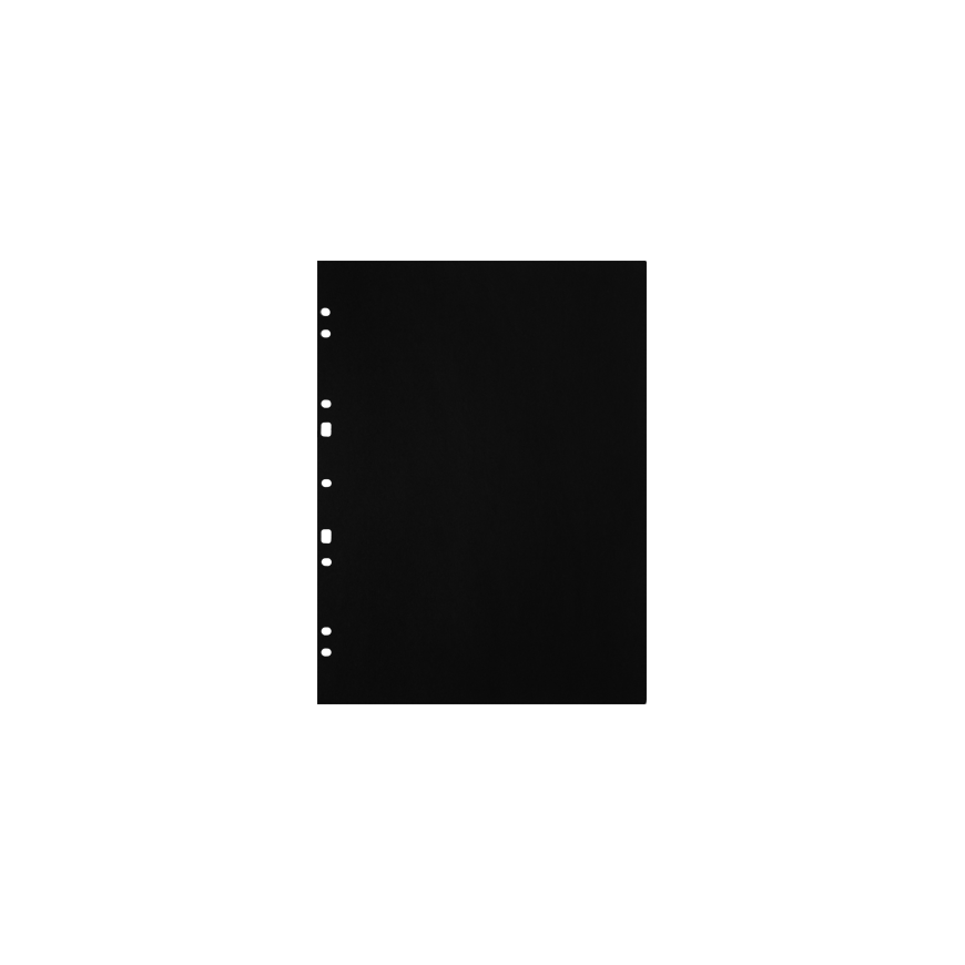 Focus Carton Refillsheets for ringbinder A4 Black 30-pack