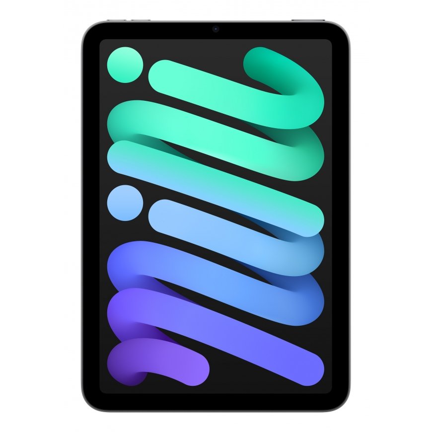 Apple iPad mini 256 GB 21