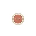 Clarins Ombre Skin тени 1,5 g 04 Matte Rosewood Матовый Clarins Ombre Skin тени 1,5 g 04 Matte Rosewood Матовый
