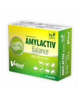 VETFOOD Amylactiv Max - uztura bagātinātāji suņiem un kaķiem - 120 gab.
