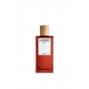 LOEWE Perfumes Solo Cedro 100 ml Miesten LOEWE Perfumes Solo Cedro 100 ml Miesten