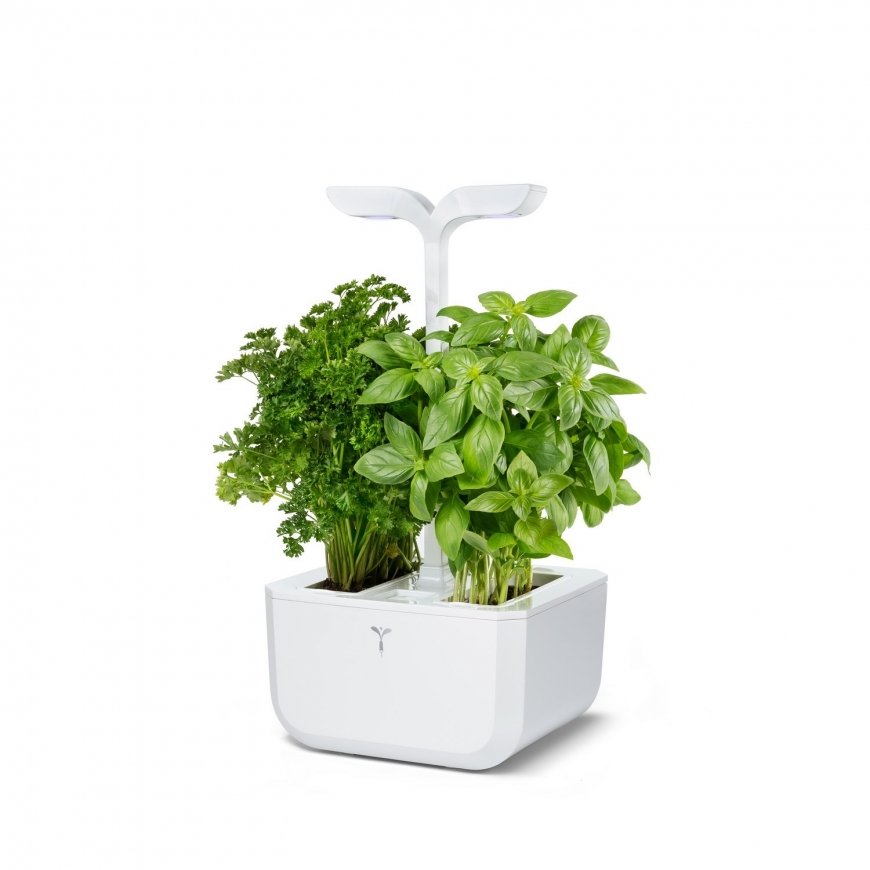 Véritable Exky CLASSIC - Automatic Flower Pot with Lighting Control, White + 2 Herb Refills