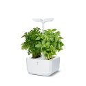 Véritable Exky CLASSIC - Automatic Flower Pot with Lighting Control, White + 2 Herb Refills Véritable Exky CLASSIC - Automatic Flower Pot with Lighting Control, White + 2 Herb Refills