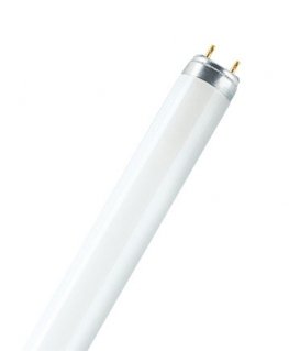 Osram LUMILUX T8 fluorescent bulb 15 W G13 Warm white