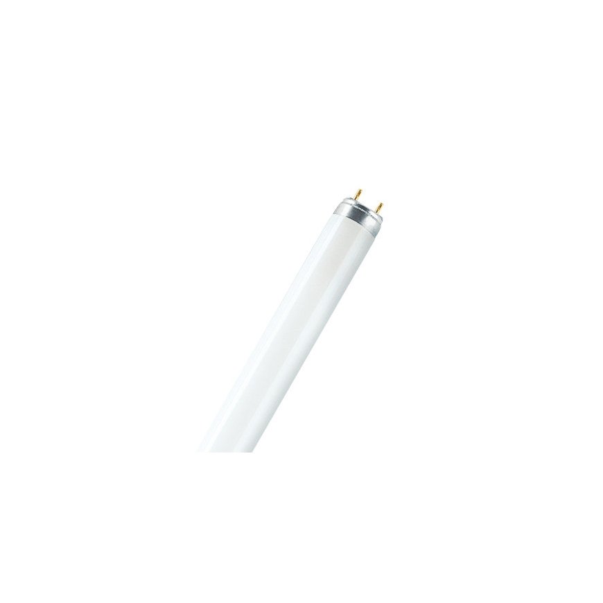 Osram LUMILUX T8 люминисцентная лампа 15 W G13 Теплый белый