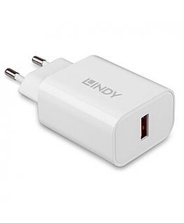 Lindy 73412 mobile device charger Smartphone, Tablet White AC Fast charging Indoor, Outdoor