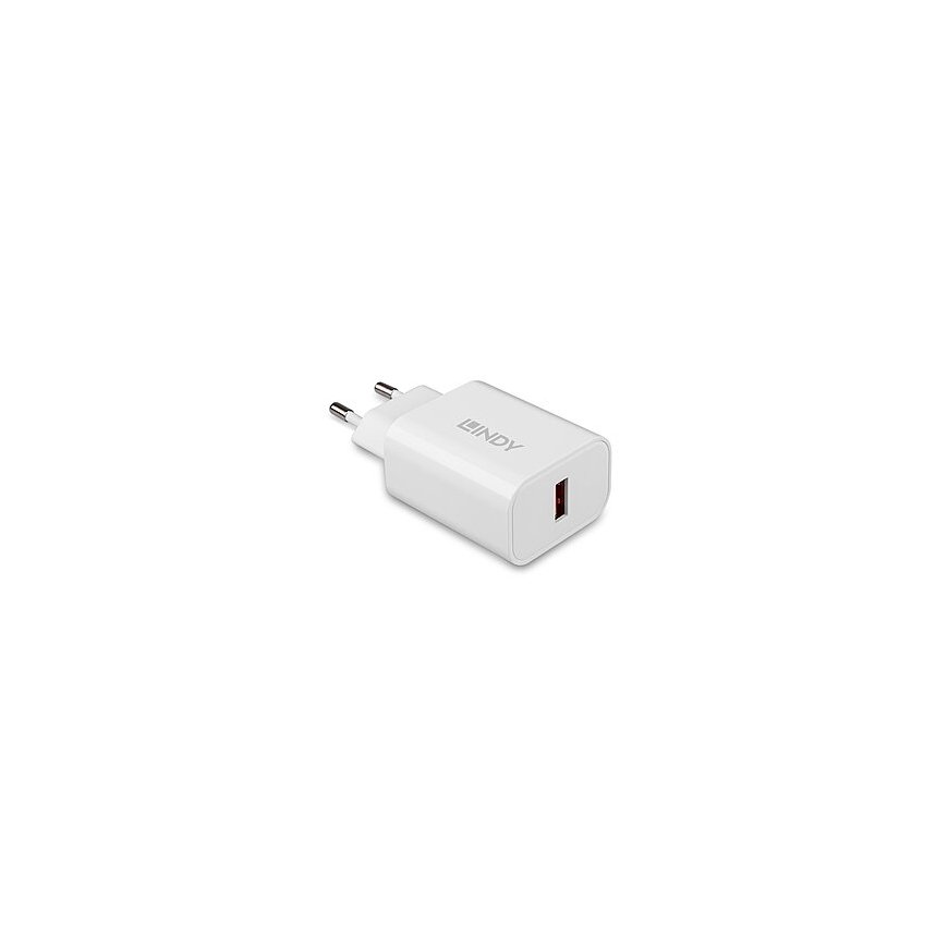 Lindy 73412 mobiilseadme laadija Nutitelefon, Tahvel Valge Vahelduvvool Kiirlaadimine Hoonesisene, H