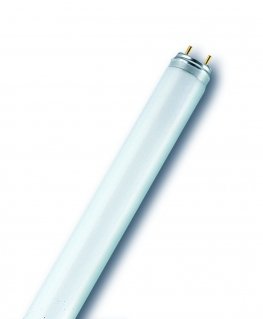 Osram L 30 W/865 люминисцентная лампа