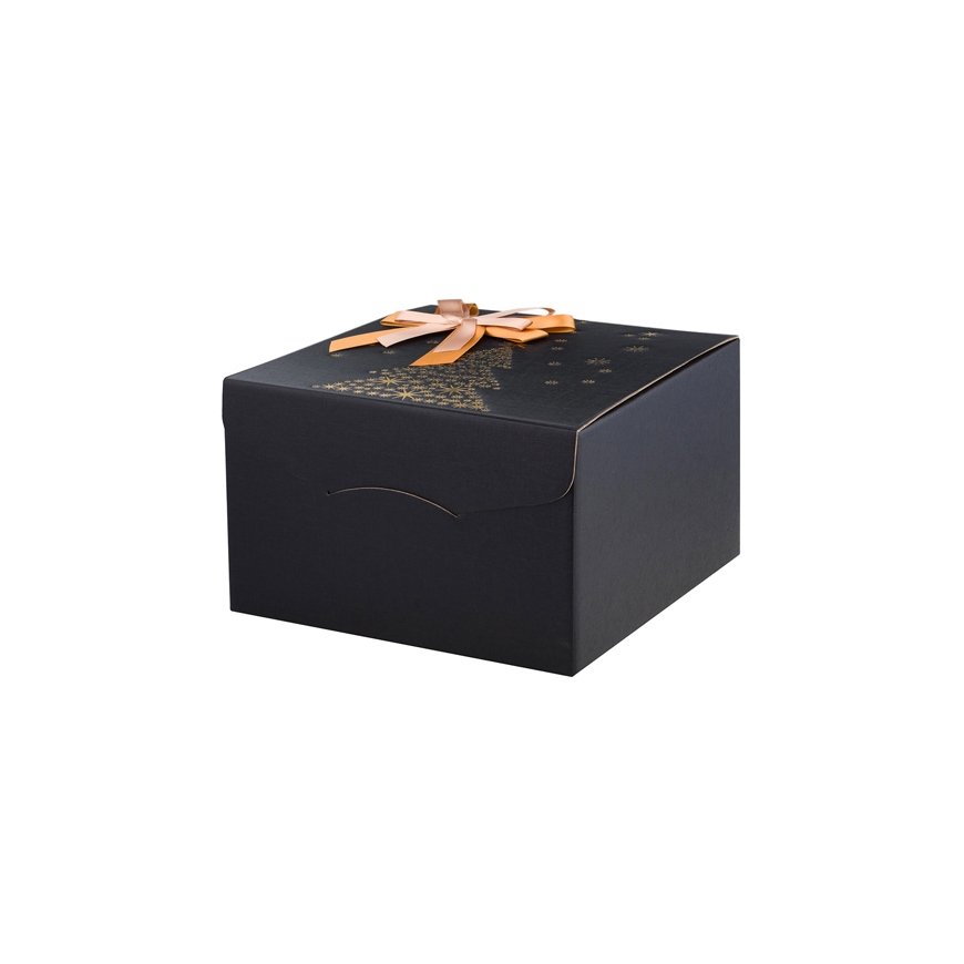 Meeste kell CASIO MTP-M110L-1A (zd293d) + KASTI