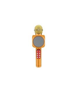 Riff WS-1816 16W karaokemikrofoni BT LED 360 Musta