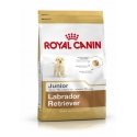 Royal Canin Labrador Retriever Junior 12 kg Koiranpentu Maissi, Siipikarja, Riisi Royal Canin Labrador Retriever Junior 12 kg Koiranpentu Maissi, Siipikarja, Riisi