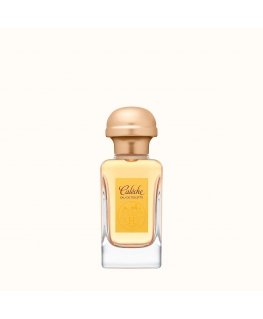 Hermes Caleche Eau De Toilette 50 ml