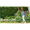Bosch EasyGrassCut 18V-26 26 cm Baterija Melns, Zaļš