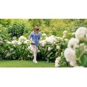 Bosch EasyGrassCut 18V-26 26 cm Аккумулятор Черный, Зеленый