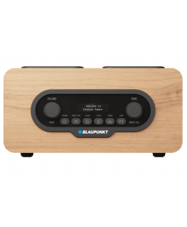 Портативное радио BLAUPUNKT DAB DR10CR