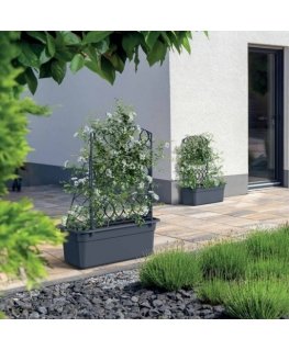 Prosperplast Komplekt DOMNICY Z PERGOLÄ BLOMA - ANTRACIT