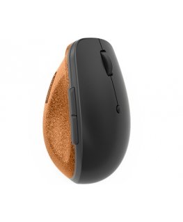 Lenovo Go kompiuterio pelė Biuras Dešinės rankos Radijo dažnio belaidė Optinis 2400 DPI