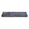 ENDORFY Thock V2 keyboard Gaming USB + RF Wireless + Bluetooth QWERTY US English Grey ENDORFY Thock V2 keyboard Gaming USB + RF Wireless + Bluetooth QWERTY US English Grey