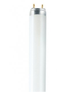 Osram T8 Relax L liumenescencinė lemputė 18 W G13 Šiltai balta