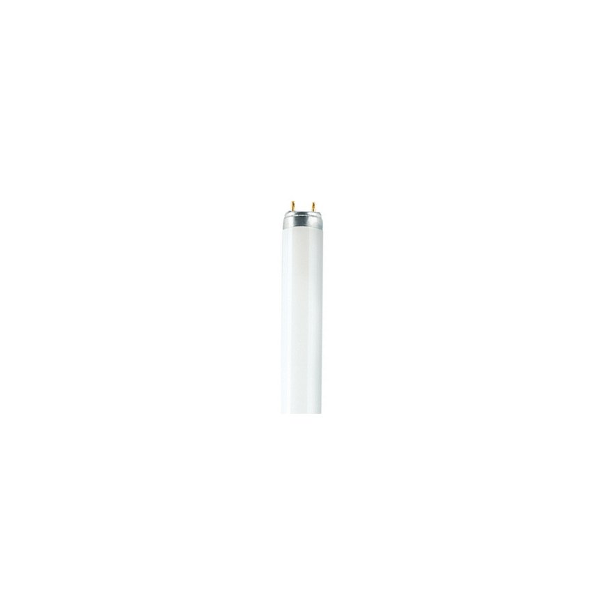 Osram T8 Relax L fluoriscentā lampa