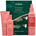 Aveda Nutriplenish rinkinys: plaukų šampūnas 100ml + plaukų kondicionierius 100ml + nenuplaunamas kondicionierius 200ml
