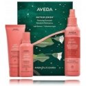 Aveda Nutriplenish rinkinys: plaukų šampūnas 100ml + plaukų kondicionierius 100ml + nenuplaunamas kondicionierius 200ml