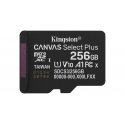 Kingston Technology Canvas Select Plus Gen3 256 GB MicroSDXC UHS-I Класс 10