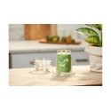 Yankee Candle Signature восковая свеча Цилиндр Лайм, Ваниль Зеленый 1 шт