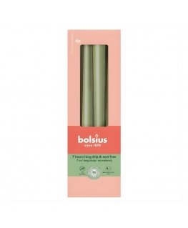 Bolsius Table Candles 4pcs 245/24mm Olive Green