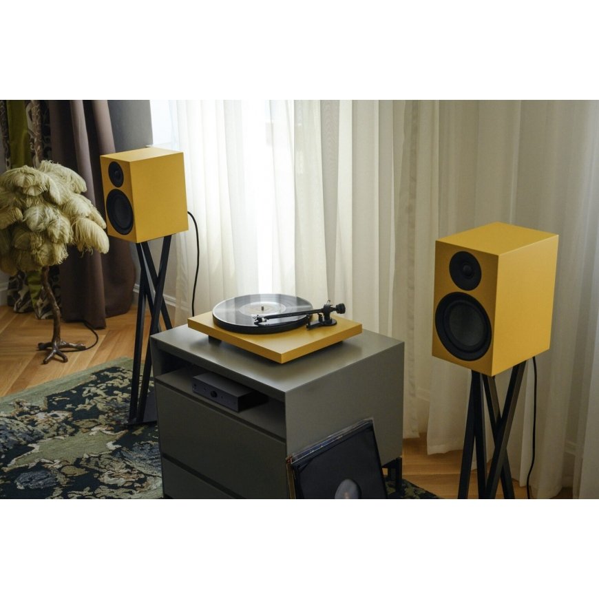 Pro-Ject PROCASEGE Home audio midi system 40 W Black, Walnut – 2