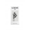 LOEWE Perfumes Aire EDT 50 ml Women LOEWE Perfumes Aire EDT 50 ml Women