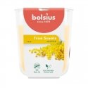 Bolsius True Scents Aromātiskā Svece 80x73mm Mimosa Bolsius True Scents Aromātiskā Svece 80x73mm Mimosa