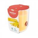 Bolsius True Scents Ароматическая Свеча 80x73mm Mimosa