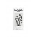 LOEWE Perfumes Agua Mar de Coral 50 ml Женский LOEWE Perfumes Agua Mar de Coral 50 ml Женский