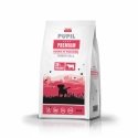 PUPIL PREMIUM Junior M&L su patsniu jautiena 12 kg