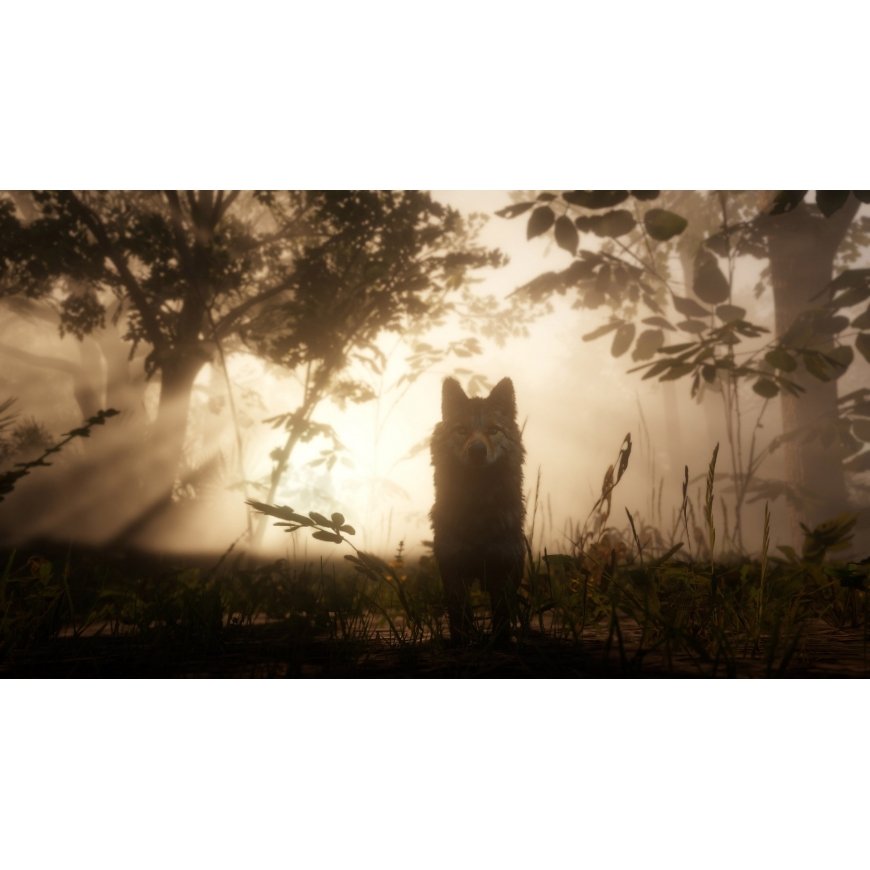 Sony Red Dead Redemption 2, PS4 Standarts Angļu PlayStation 4 – 4