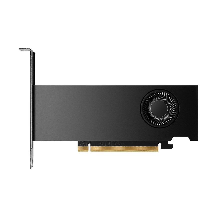 PNY NVIDIA RTX 2000 Ada Generation