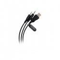 Baracuda BGH-031 Conch White Baracuda BGH-031 Conch White