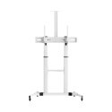 Sbox FS-3610 grīdas ultra-lielā LED televizora statīvs 60-100" 100kg balts Sbox FS-3610 grīdas ultra-lielā LED televizora statīvs 60-100" 100kg balts