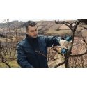 Bosch Pro Pruner Professional бесшнуровые ножницы для травы 2,5 cm 12 V Литий-ионная (Li-Ion) Синий Bosch Pro Pruner Professional бесшнуровые ножницы для травы 2,5 cm 12 V Литий-ионная (Li-Ion) Синий