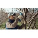 Bosch Pro Pruner Professional bezvada zāles dzirkles 2,5 cm 12 V Litija jons Zils Bosch Pro Pruner Professional bezvada zāles dzirkles 2,5 cm 12 V Litija jons Zils