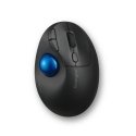 Kensington Pro Fit Ergo TB450 mouse Kensington Pro Fit Ergo TB450 mouse