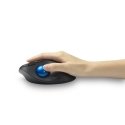 Kensington Pro Fit Ergo TB450 mouse Kensington Pro Fit Ergo TB450 mouse