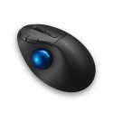 Kensington Pro Fit Ergo TB450 pele Birojs Labā roka RF bezvadu sakari + Bluetooth Kursorbumba 1600 D Kensington Pro Fit Ergo TB450 pele Birojs Labā roka RF bezvadu sakari + Bluetooth Kursorbumba 1600 D