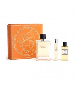 Hermes Terre d'Hermès Mehed 2 tk