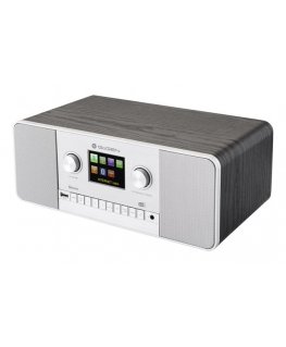 GoGen IR 257 BTDAB Internet Digital Silver